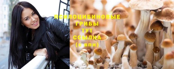 мескалин Армянск